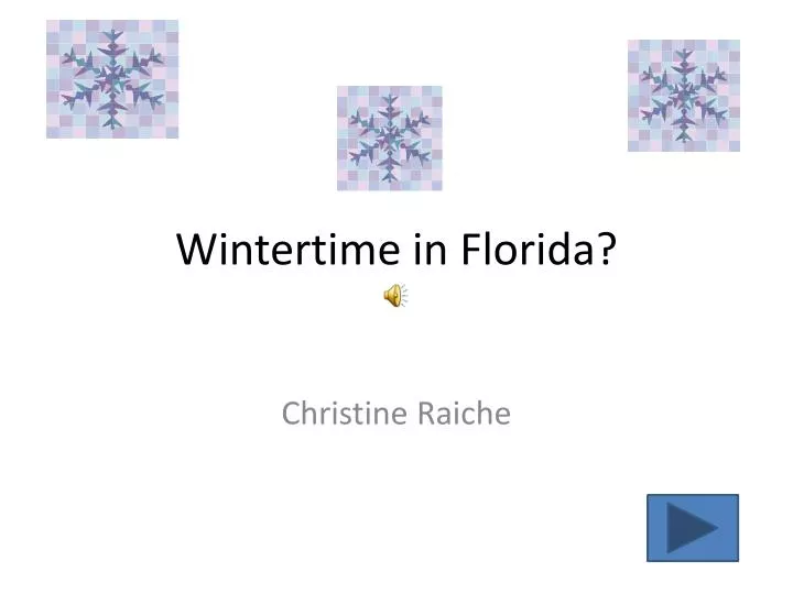 wintertime in florida