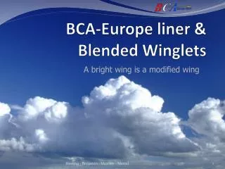 BCA-Europe liner &amp; Blended Winglets