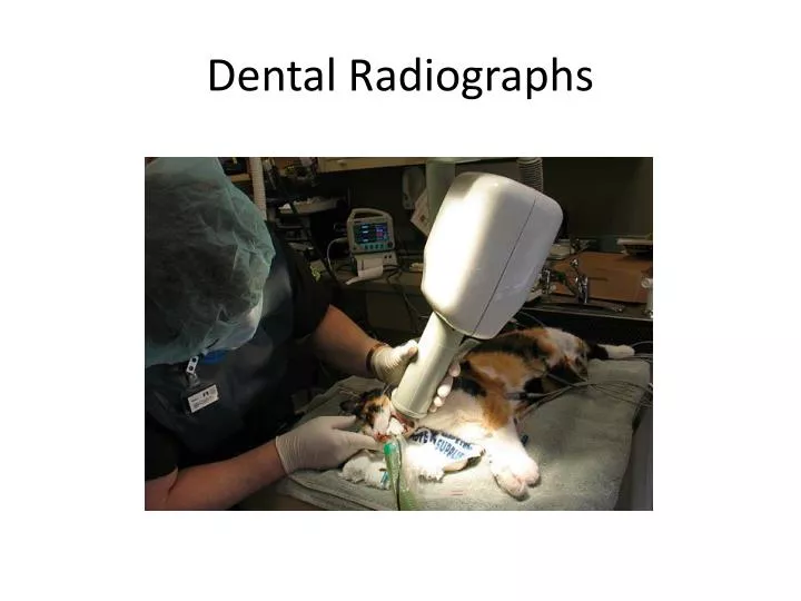 dental radiographs