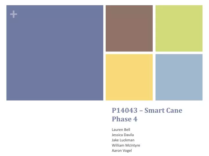 p14043 smart cane phase 4