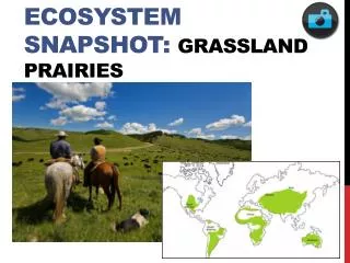Ecosystem Snapshot: GRASSLAND PRAIRIES