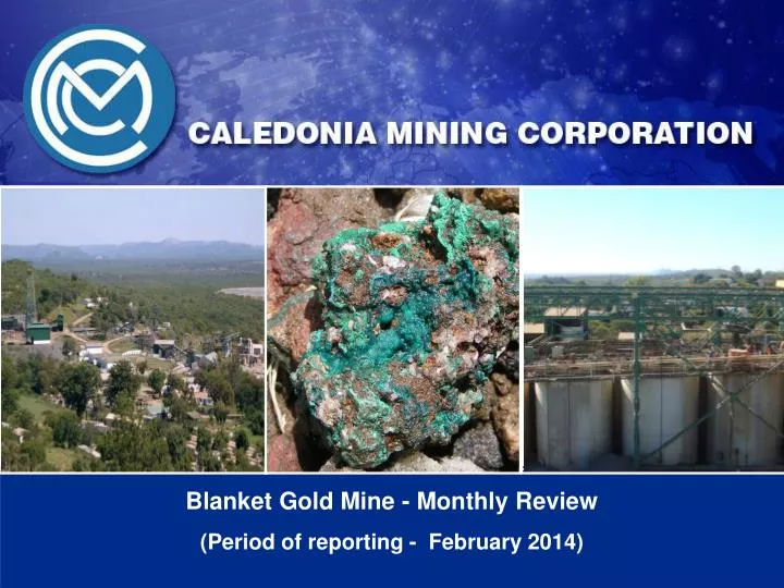 blanket gold mine monthly review period of reporting february 2014