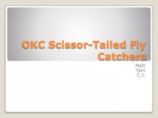 OKC Scissor-Tailed F ly Catchers