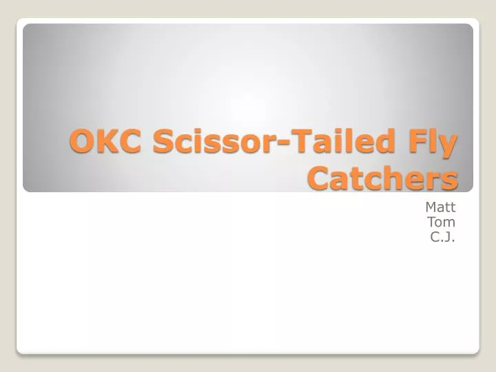 okc scissor tailed f ly catchers