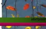 Empowering Educators Through Mentorship: A Collaborative Professional Development Program - slide 1