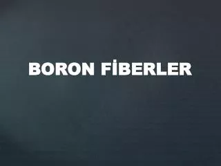 boron f berler