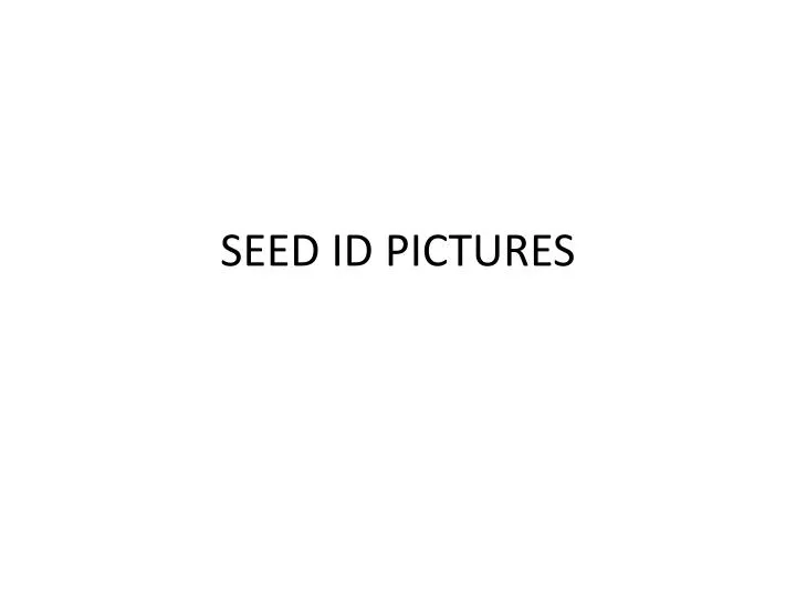 seed id pictures