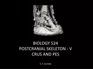 BIOLOGY 524 POSTCRANIAL SKELETON - V CRUS AND PES S. S. Sumida