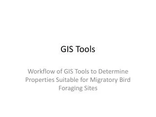 GIS Tools