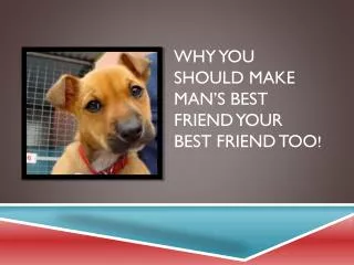 Why you Should Make Man’s Best Friend Your Best Friend too !