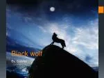 Black wolf - slide 1