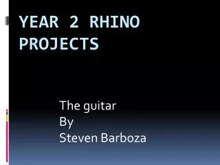 Year 2 rhino projects