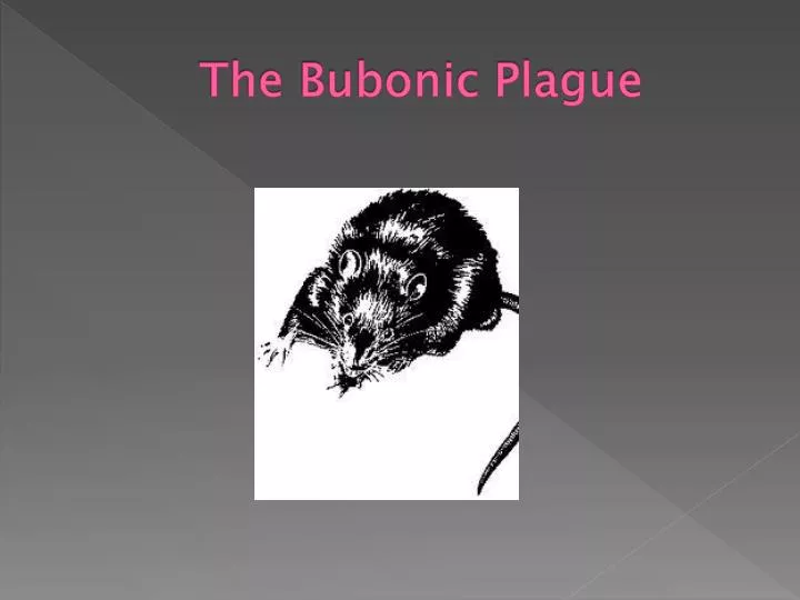 the bubonic plague
