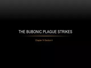 The bubonic plague strikes