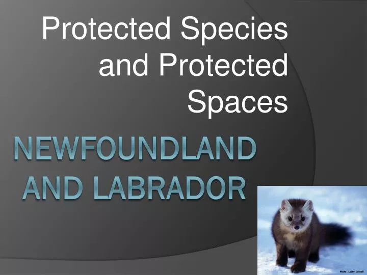 protected species and protected spaces