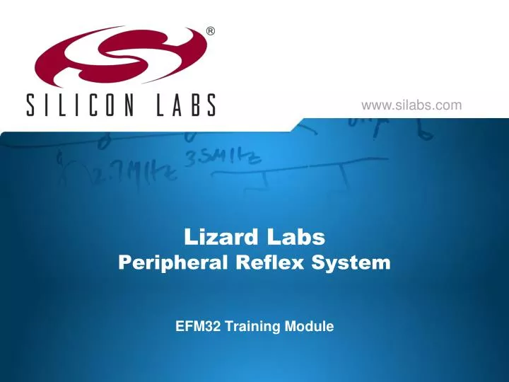 lizard labs peripheral reflex system