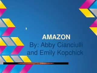 AMAZON By: Abby Cianciulli and Emily Kopchick