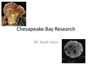 Chesapeake Bay Research