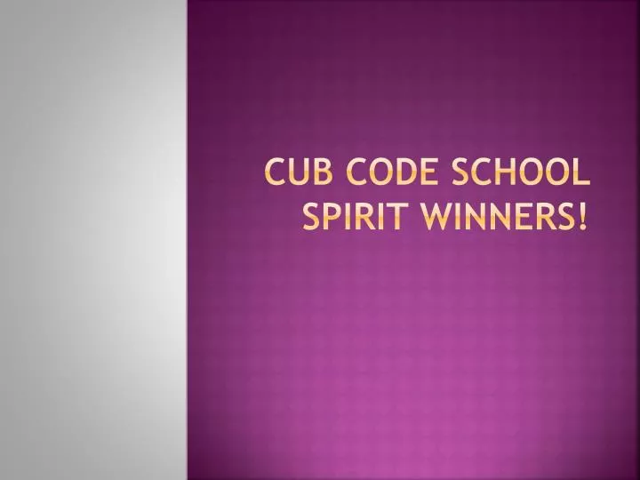 cub code school spirit winners