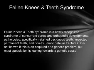 Feline Knees &amp; Teeth Syndrome