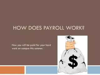How Does Payroll Work?
