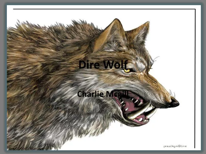 dire wolf