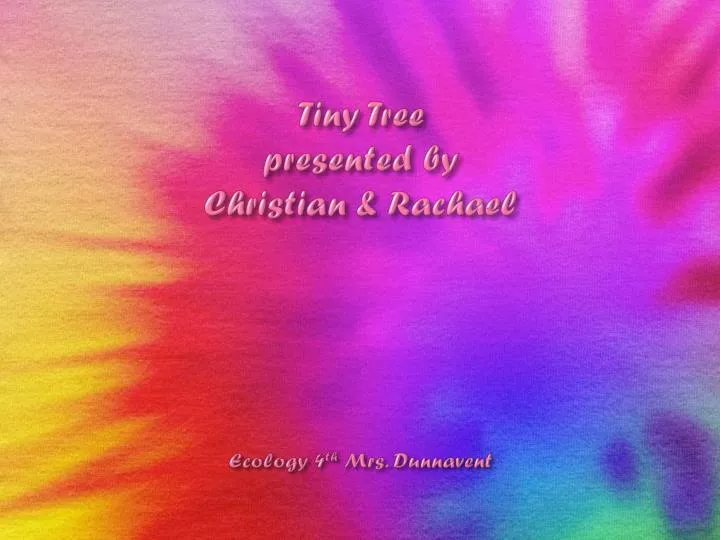 tiny tree presented by christian rachael ecology 4 th mrs dunnavent
