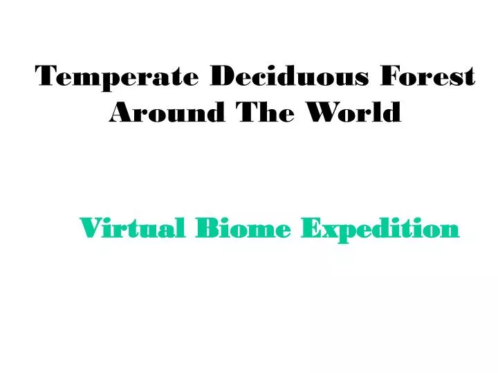 temperate deciduous forest around the world