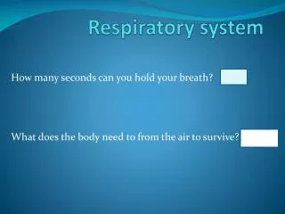 respiratory system