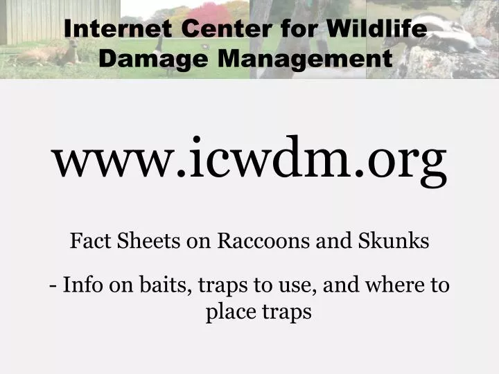 internet center for wildlife damage management