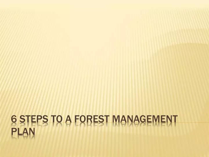 6 steps to a forest management plan