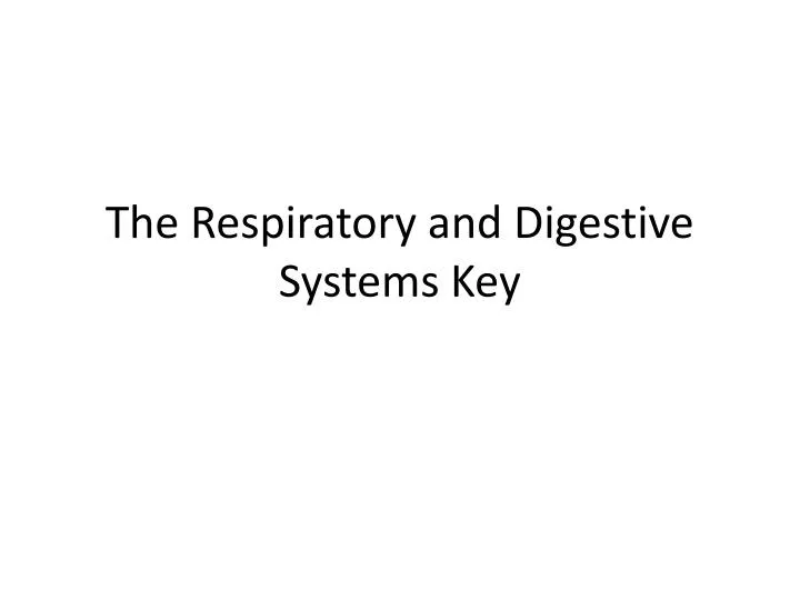 the respiratory and digestive systems key
