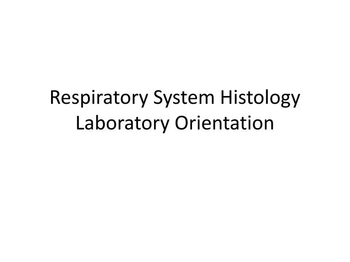 respiratory system histology laboratory orientation