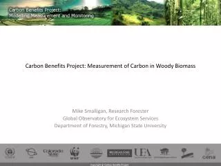 Carbon Benefits Project: Measurement of Carbon in Woody Biomass