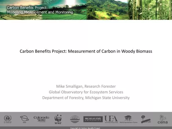 carbon benefits project measurement of carbon in woody biomass