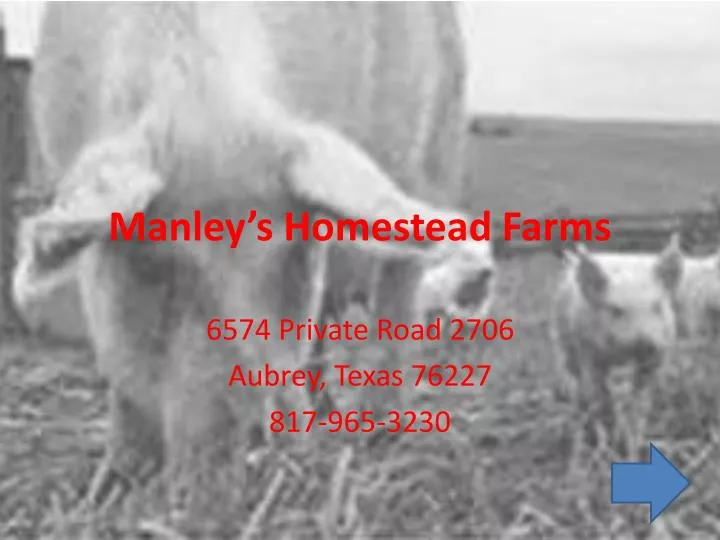 manley s homestead farms