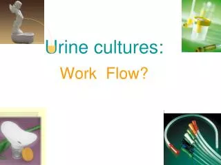 Urine cultures: Work Flow?