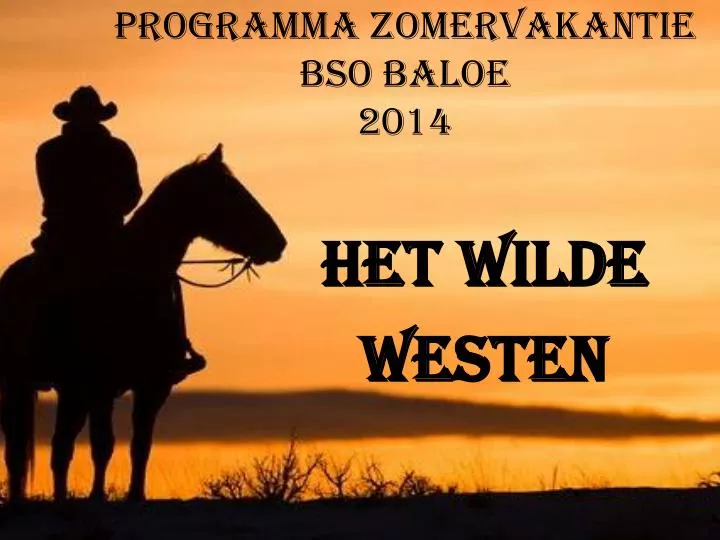 programma zomervakantie bso baloe 2014