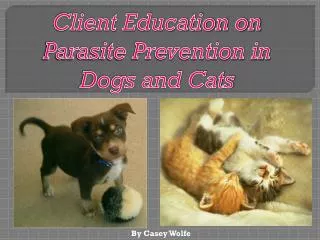 Client Education on Parasite Prevention in Dogs and Cats