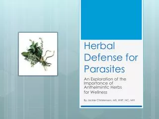 Herbal Defense for Parasites