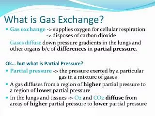 What is Gas Exchange?