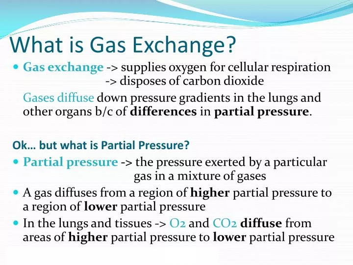 what is gas exchange