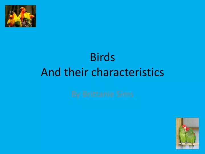 birds and their characteristics