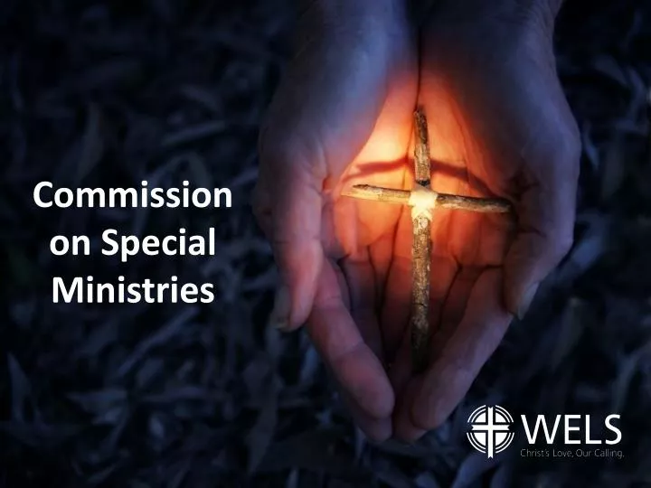 commission on special ministries