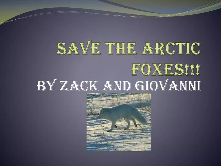 save the arctic foxes