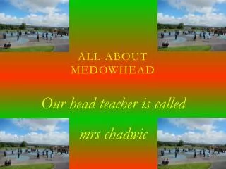 All about Medowhead