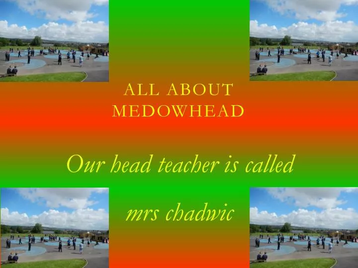 all about medowhead