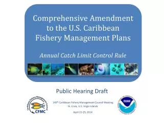 Comprehensive Amendment to the U.S. Caribbean Fishery Management Plans