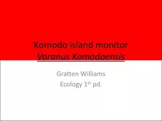 Komodo island monitor Varanus Komodoensis