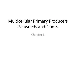 Multicellular Primary Producers Seaweeds and Plants